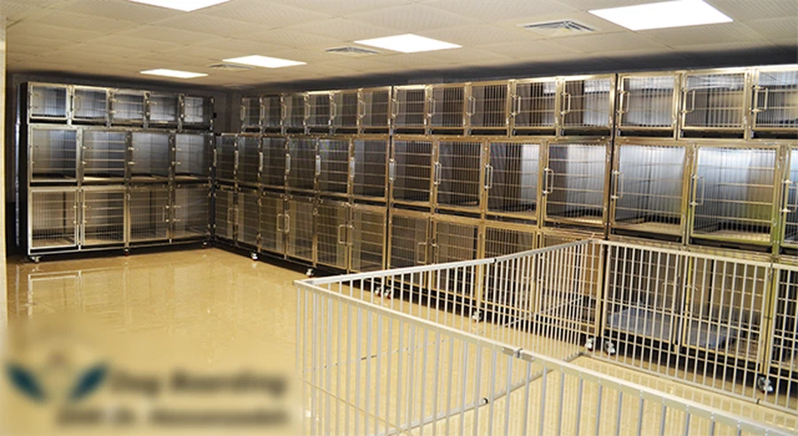 China Best Dog Kennel for Large Dogs China Best Dog Kennel for Large Dogs
