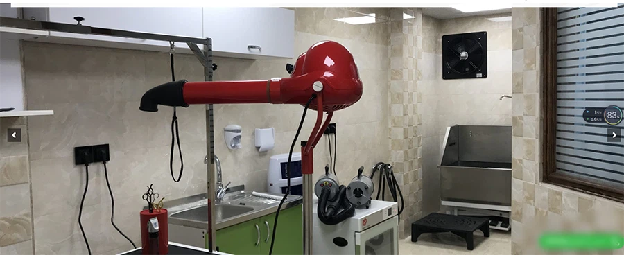 Lonic Wall-hanging Dryer for Sale